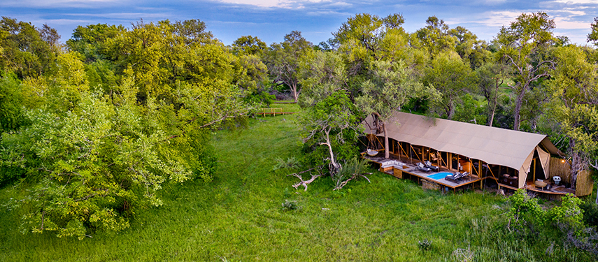 Expansive canvas family tent at Tuludi Camp, nestled in a grove of trees with a private pool and outdoor lounging area.