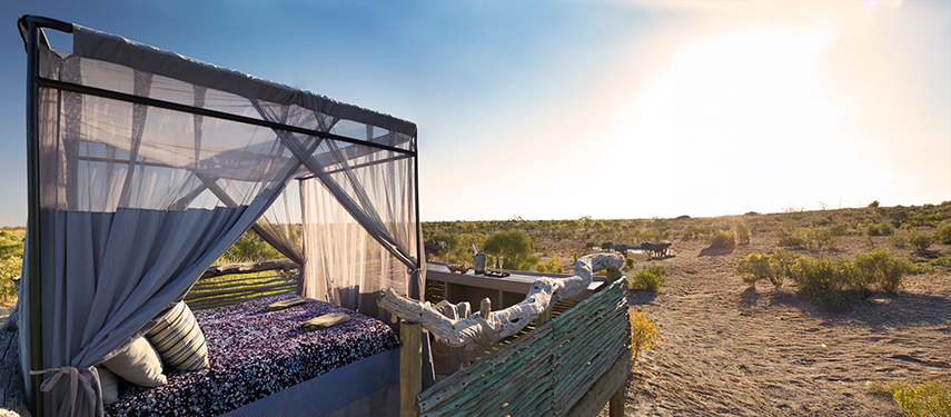 A canopied double bed on an open-air platform offering unbroken views of the surrounding bush.