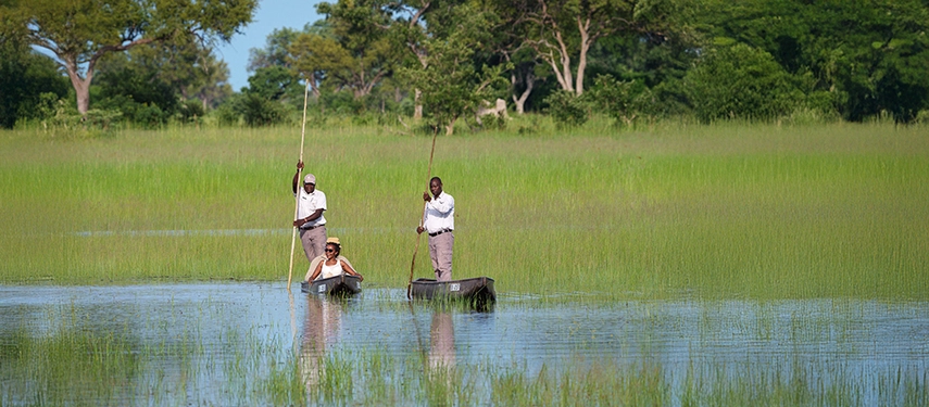Two guides pole traditional mekoro through shallow floodwaters surrounded by reeds and scattered trees.