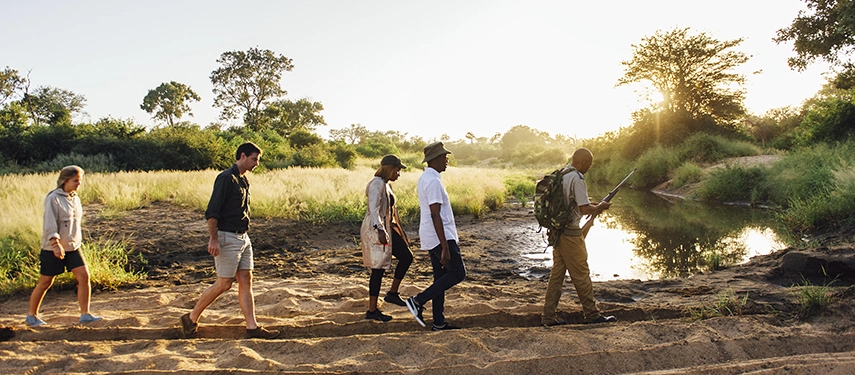 A guided walking safari group hiking in single file along the sandy Nhlaralumi Riverbed.