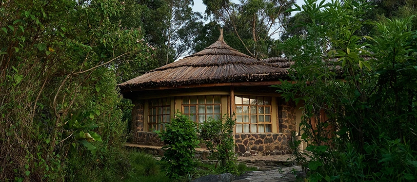 Secluded stone and thatch banda at Mount Gahinga Lodge surrounded by forest foliage.