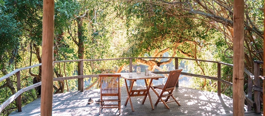 A wooden dining deck set beneath leafy trees overlooks the river, creating a serene al fresco setting immersed in Gorongosa’s wilderness.