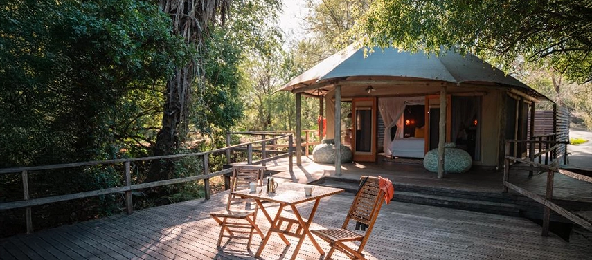 Late afternoon light falls across a wide wooden deck and tented suite, creating a tranquil setting framed by mature trees.