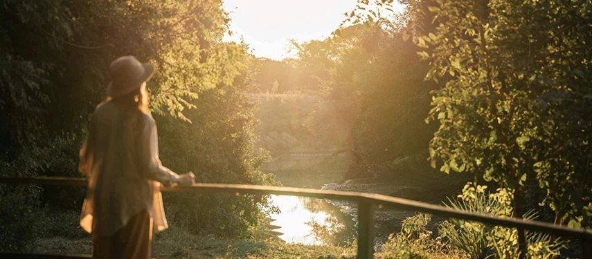 A guest stands quietly on a riverfront deck at sunset, watching golden light filter through dense woodland in Gorongosa National Park.