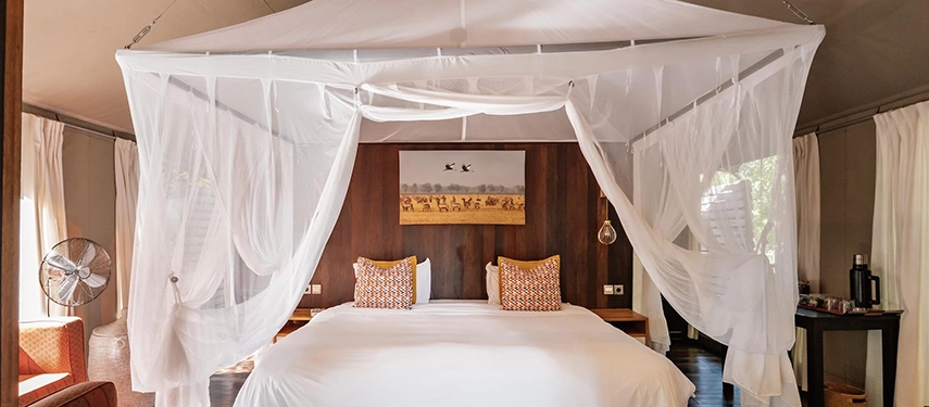 A neatly styled safari bed sits beneath flowing mosquito netting, framed by warm timber walls and wildlife artwork inspired by Gorongosa.