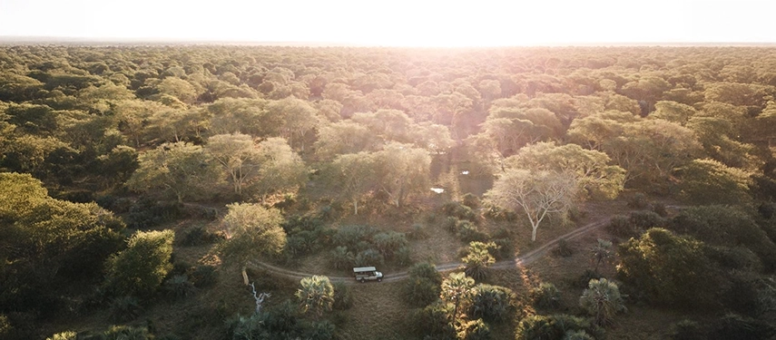 An aerial view reveals Gorongosa’s vast forest canopy at sunset, with a safari vehicle tracing a winding track below.
