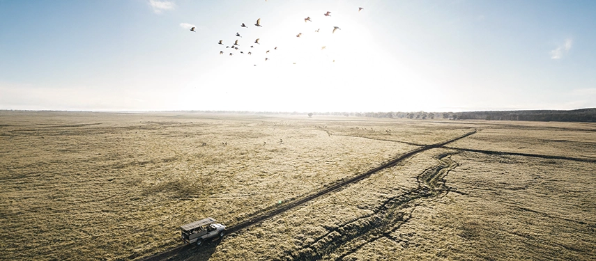 A safari vehicle travels across Gorongosa’s open floodplain beneath a wide sky, with birds lifting into the air above the grasslands.