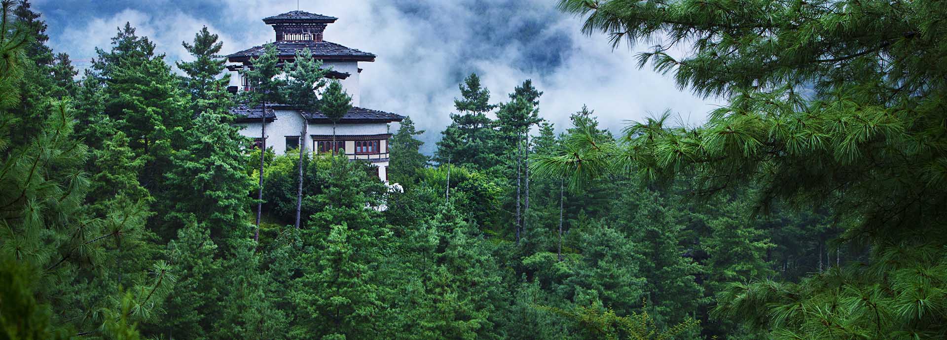 The forest location of Uma Paro in Bhutan.