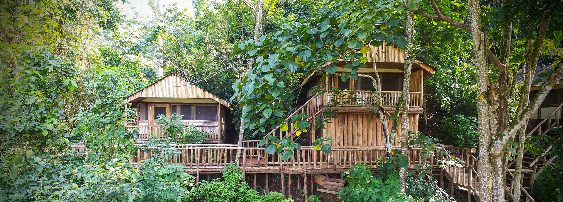 Buhoma Lodge, set right in the jungle in Bwindi, Uganda