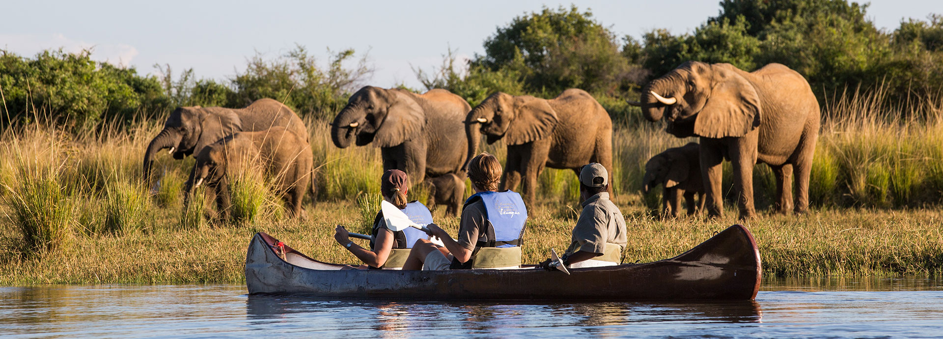 Mokoro rides passing by elephants are a common occurence at Chongwe House