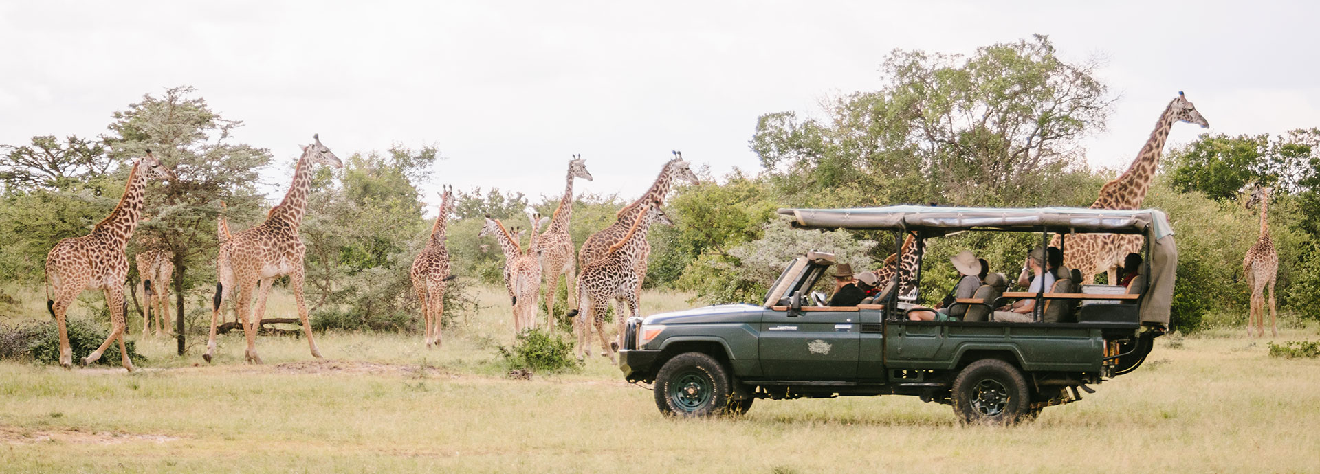 Giraffe safari staying at Cottar's Camp in Kenya's Masai Mara