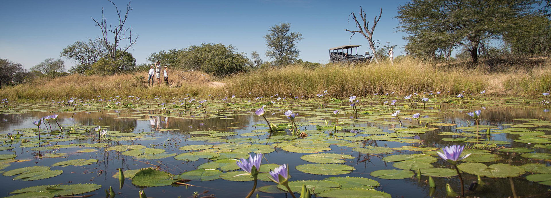 Explore the banks of the Mabrak River located in front of camp at Dulini Lodge