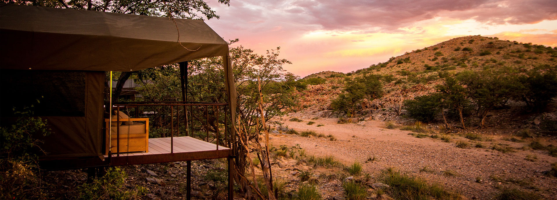 Luxury tent nestled secretively in a grove of mopane trees at Huab Under Canvas, Namibia