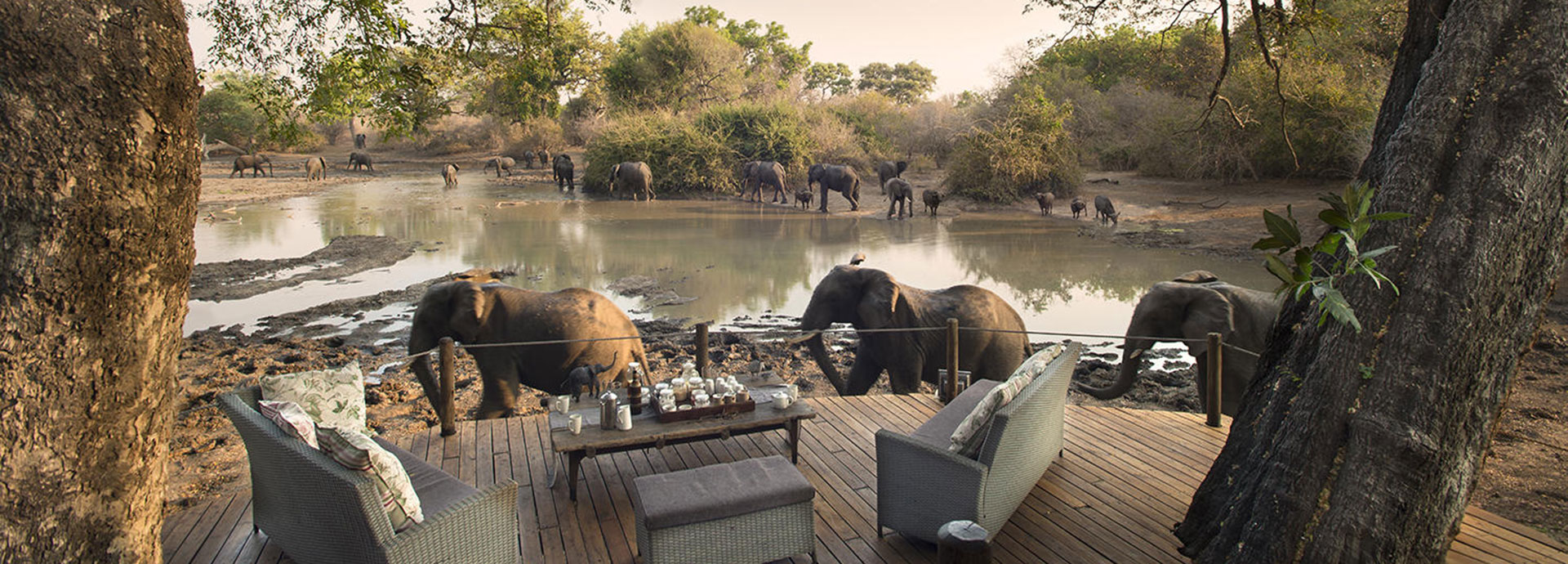 Mana Pools meet excellent elephant viewing at Kanga Camp
