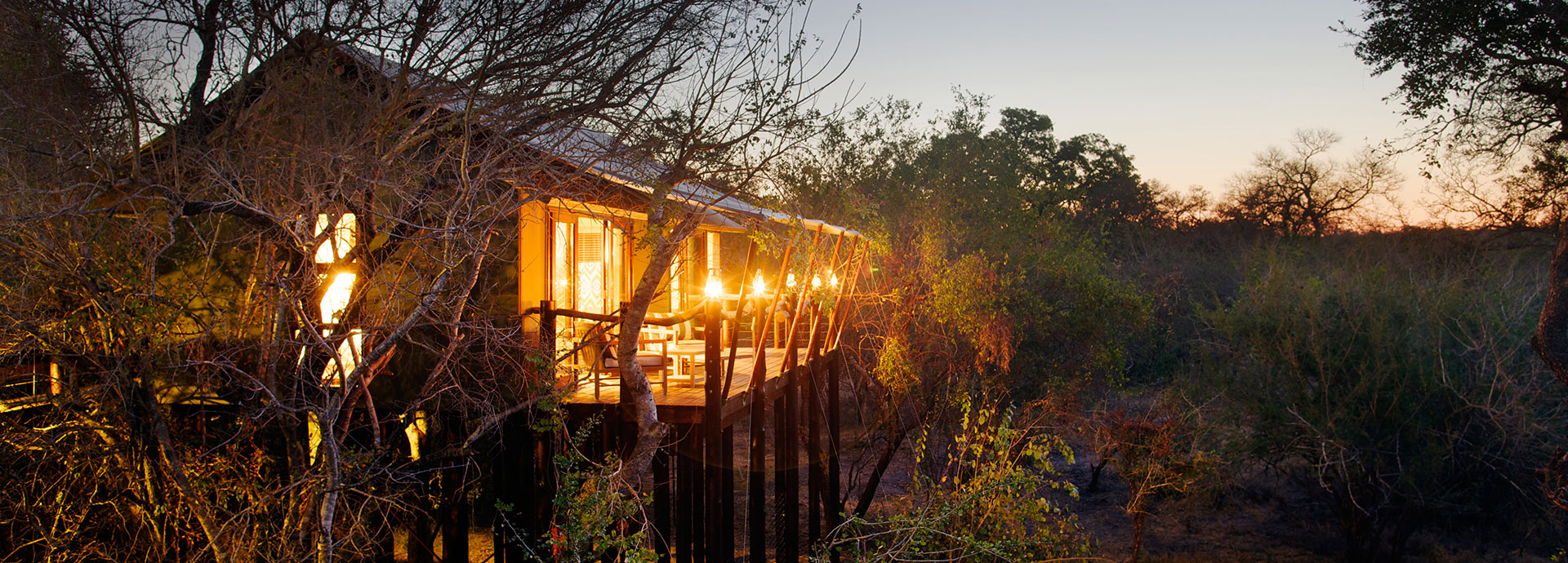 Luxury tents at Kapama Buffalo Camp are located amidst the treetops