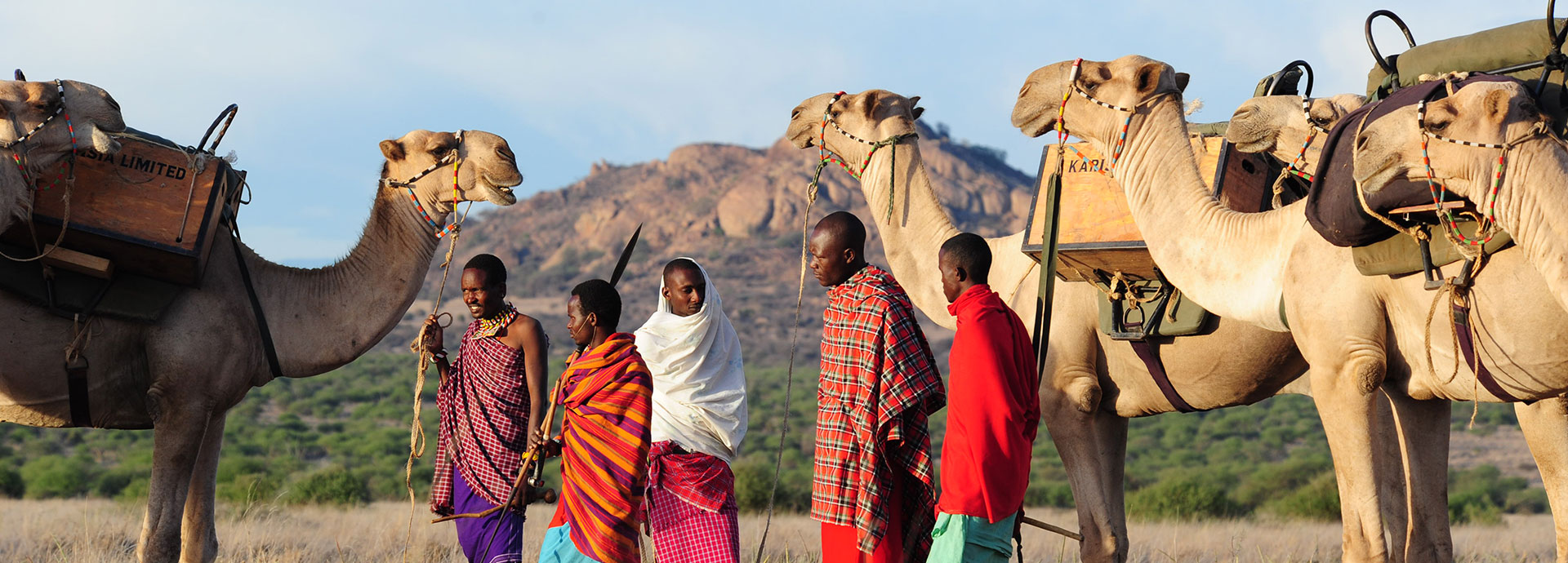 Camels and Samburu Guides taking a break on a Karisia Luxury Walking Safari