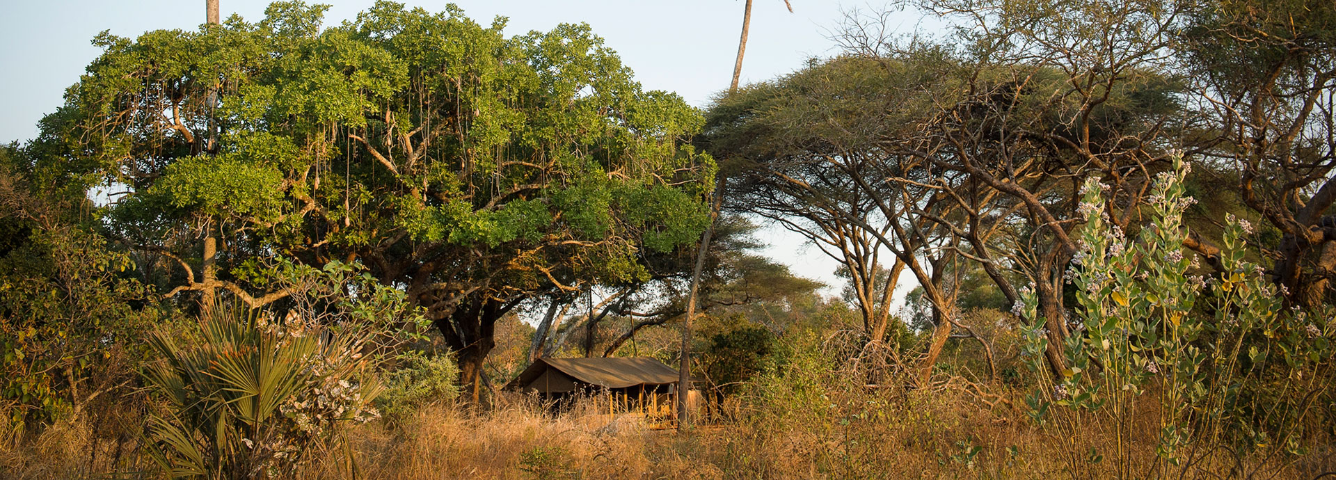 A tented safari camp in Katavi National Park is ideal for Tanzania Safaris