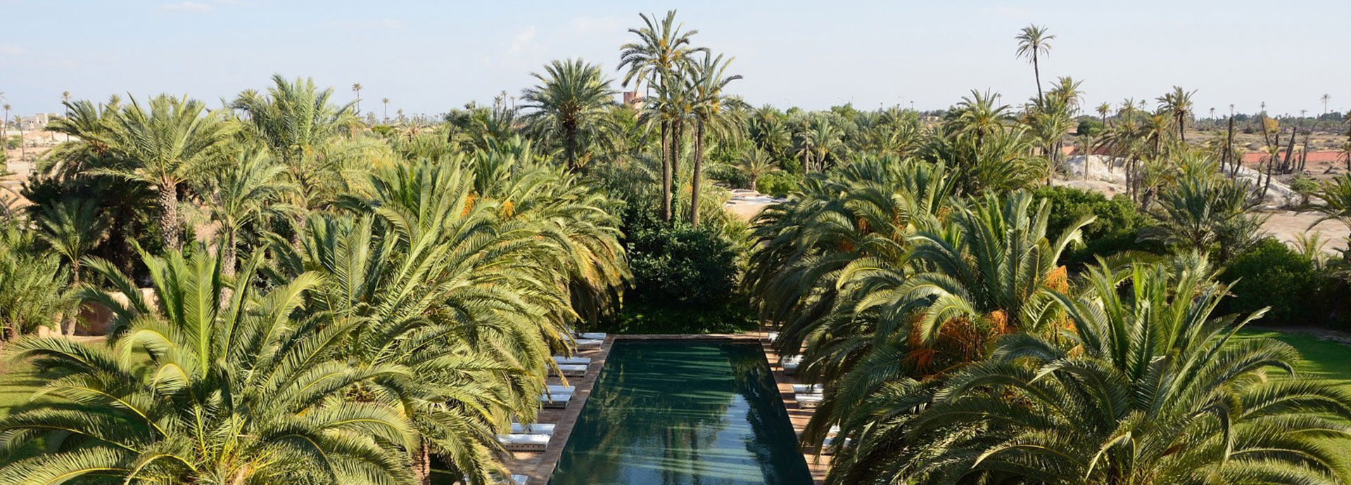 Ksar Char Bagh in Marrakech offers poolside comfort amidst a field of palm trees