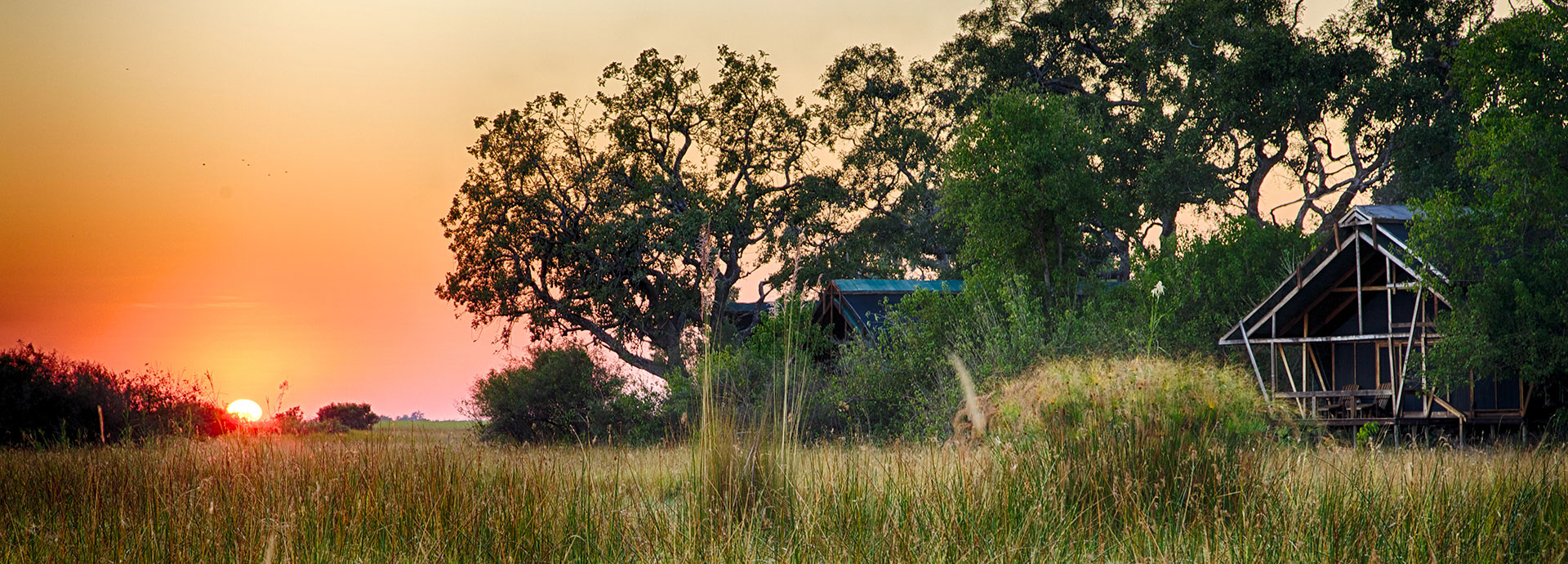 Spacious and well-designed tents are hidden amongst the trees at Kwando Lebala Camp