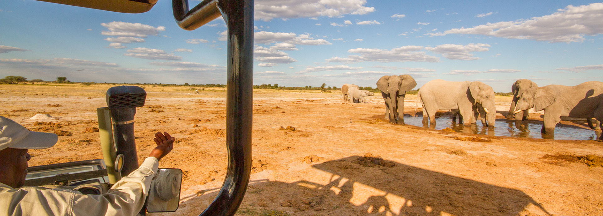 Game drive in search of desert adapted wildlife at Kwando Nxai Pan Camp