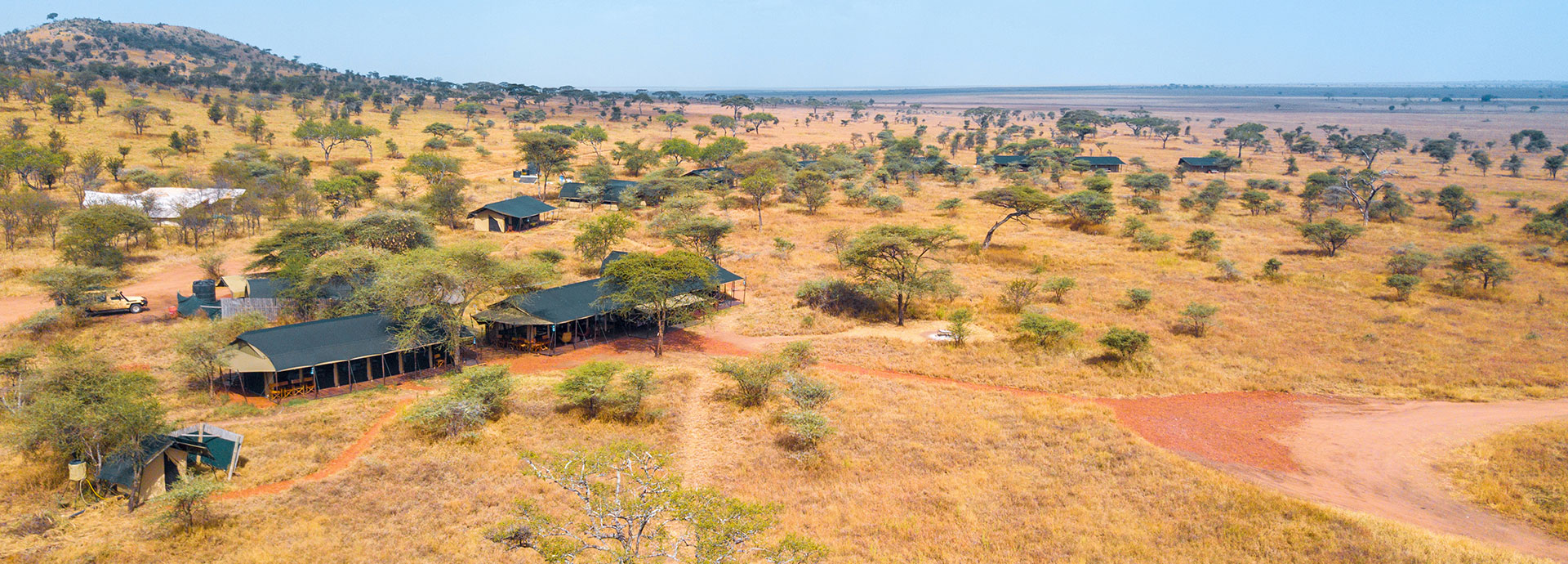 Great wildlife encounters in the vast Seronera Valley when staying at Lemala Ewanjan Tented Camp