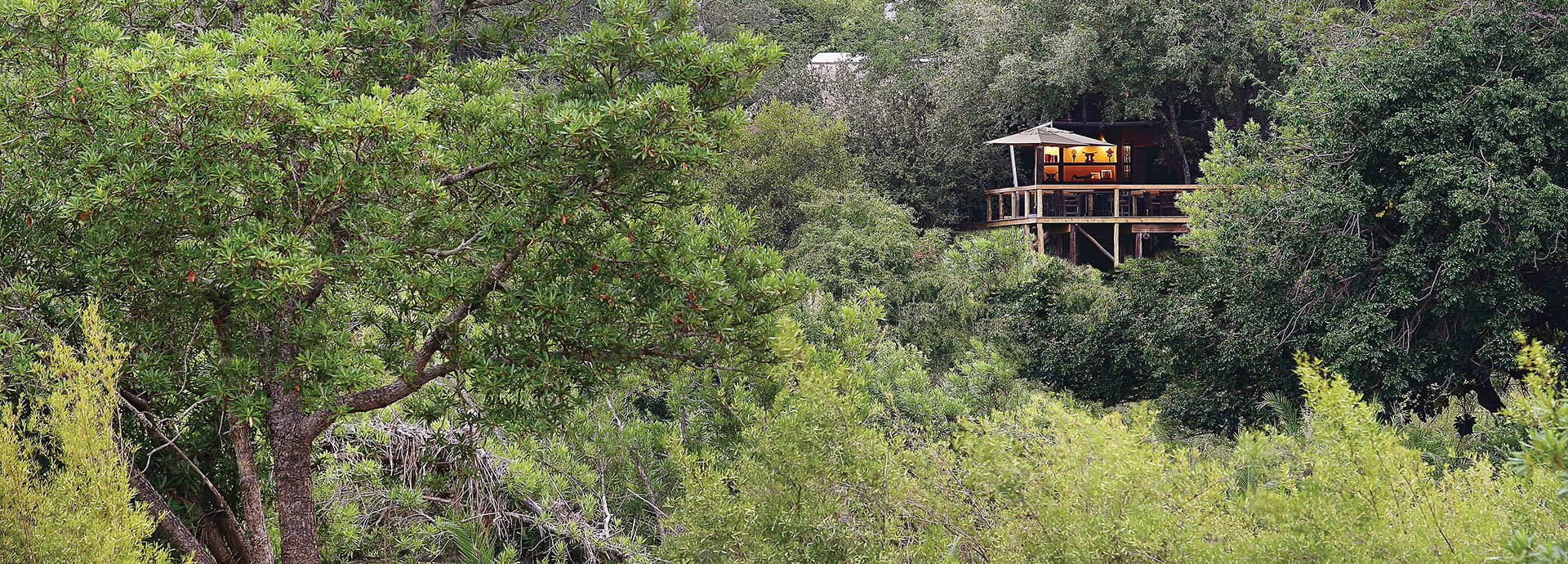 Londolozi Tree camp is high up and hidden amongst the trees