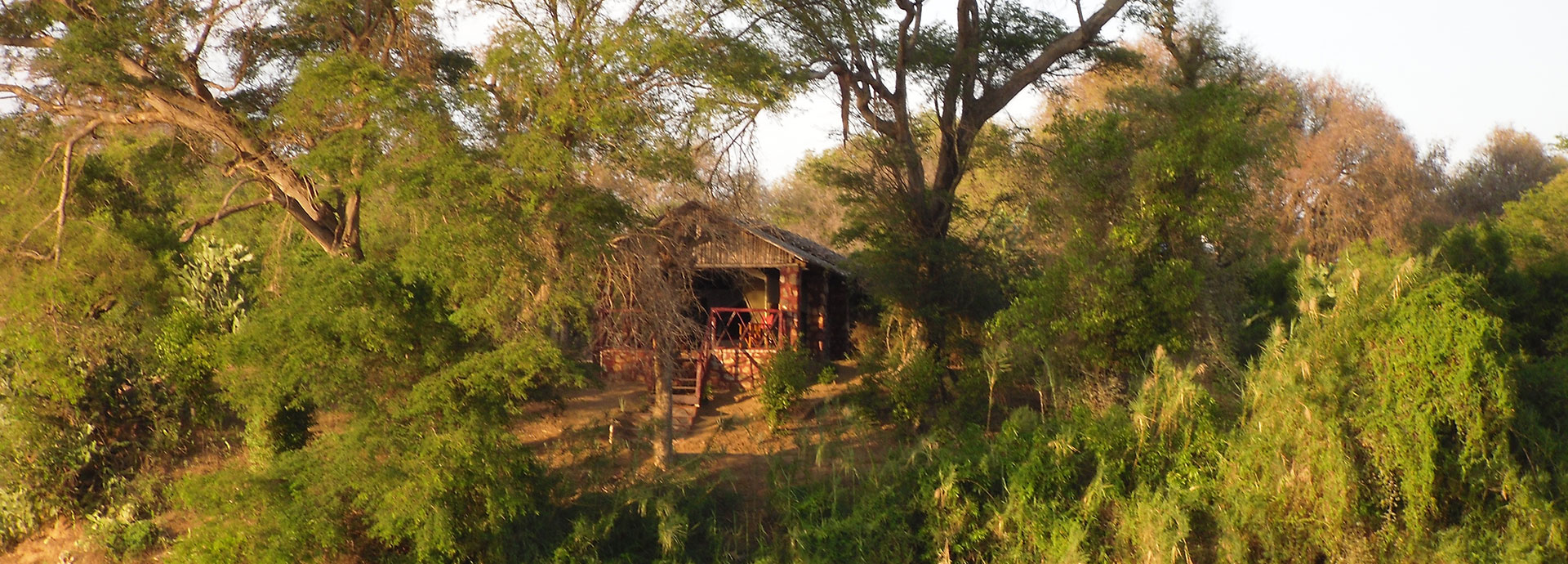 Amidst the 'Spiny Forest' at Mandrare River Camp