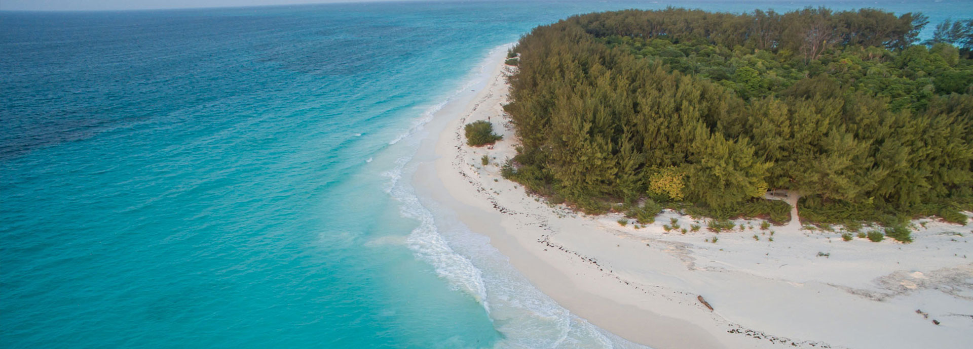 Mnemba Island is surrounded by magnificent coral reefs create an underwater wonderland for divers