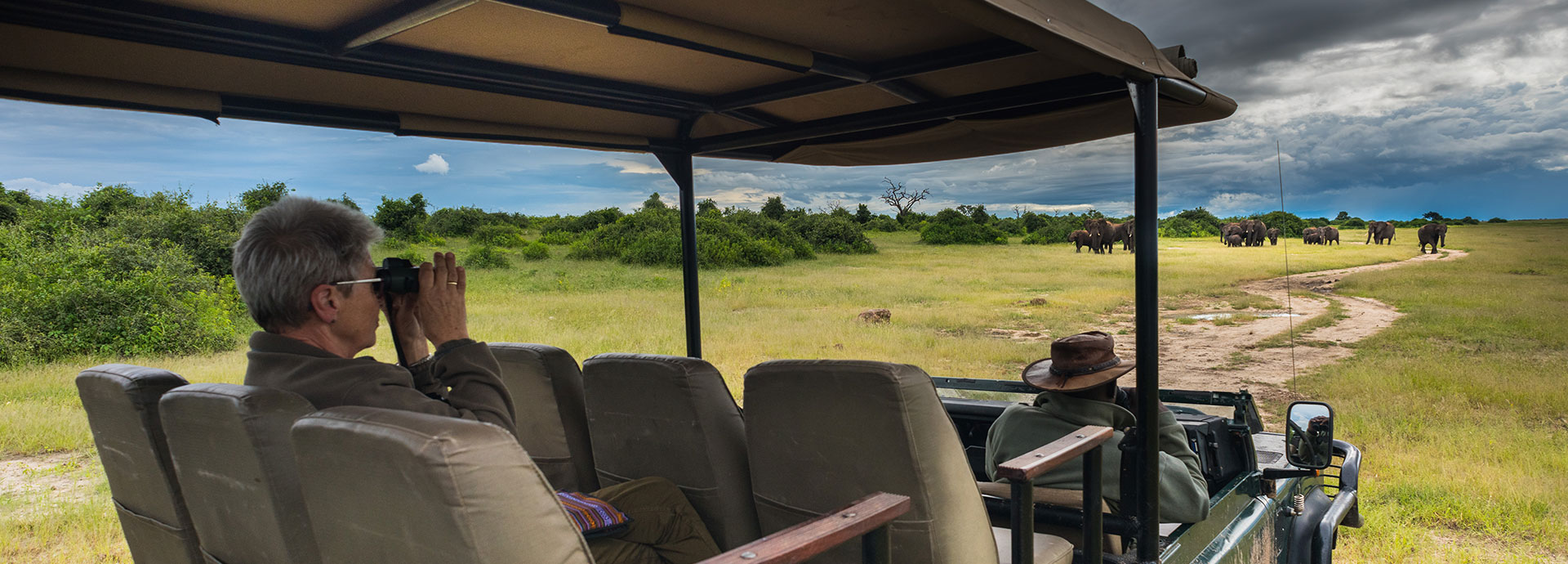A herd of elephants spotted whilst game viewing at Muchenje Safari Lodge Botswana
