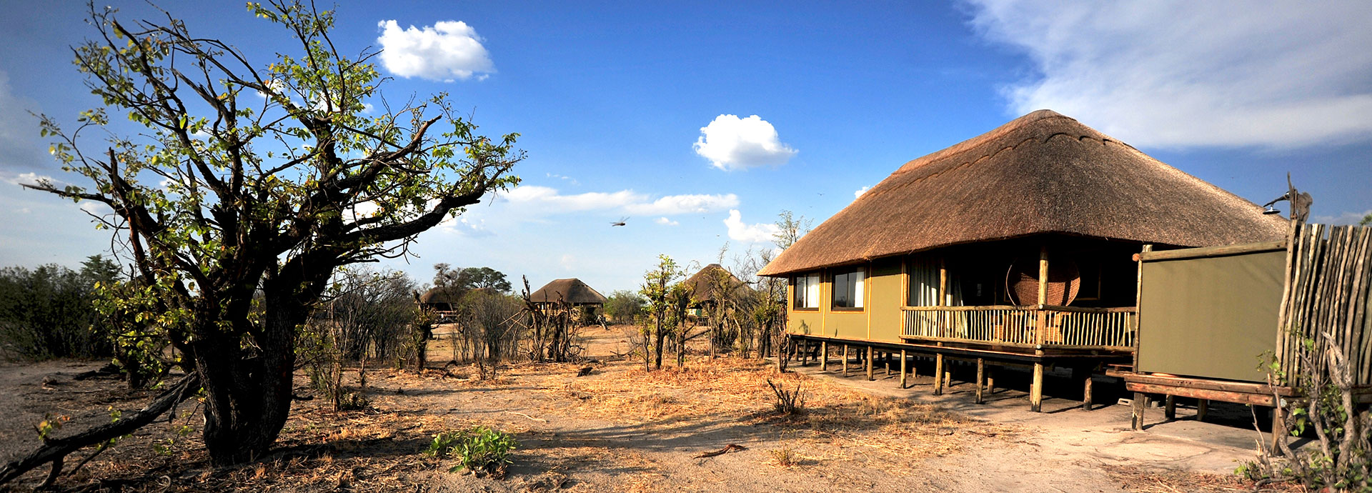 Roam about the former grounds of Cecil the lion at Nehimba Safari Lodge