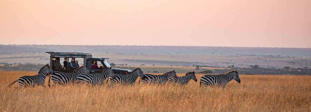 Amazing game viewing at Offbeat Mara in the Mara North Conservancy