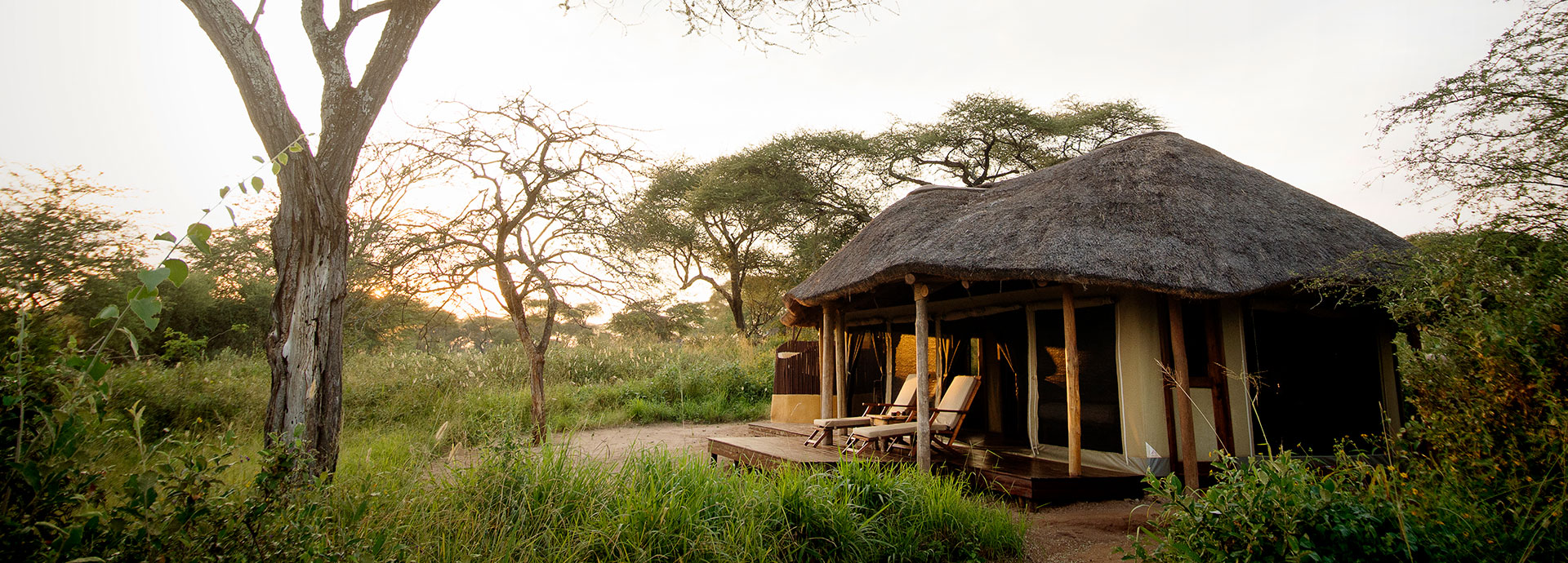 Immersive wilderness stay at Oliver's Camp in Tarangire National Park, Tanzania