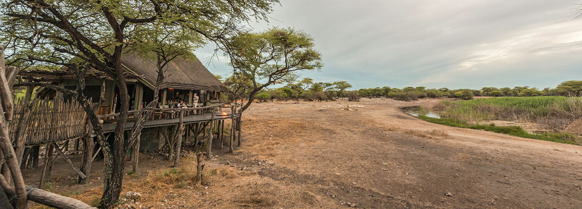 Search for more than 30 species from the treetops at Onguma Treetop Camp