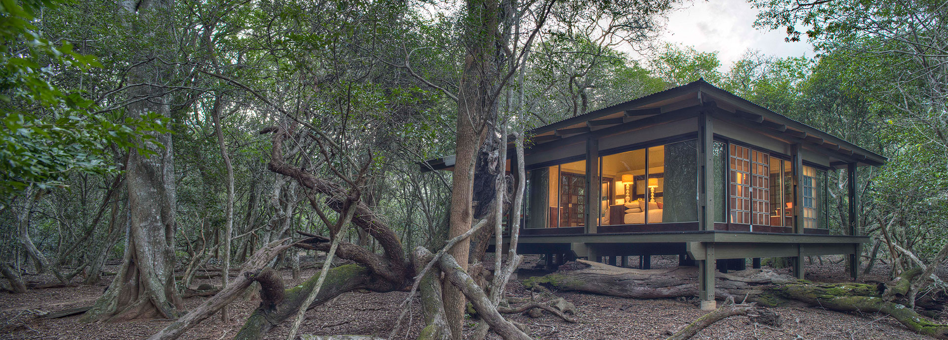 Immerse oneself into the natural environment at Phinda Forest Lodge