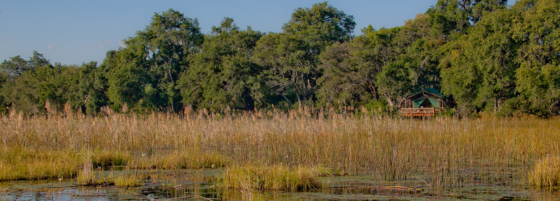 A true Okavango wilderness experience right from your tent at Pom Pom Camp