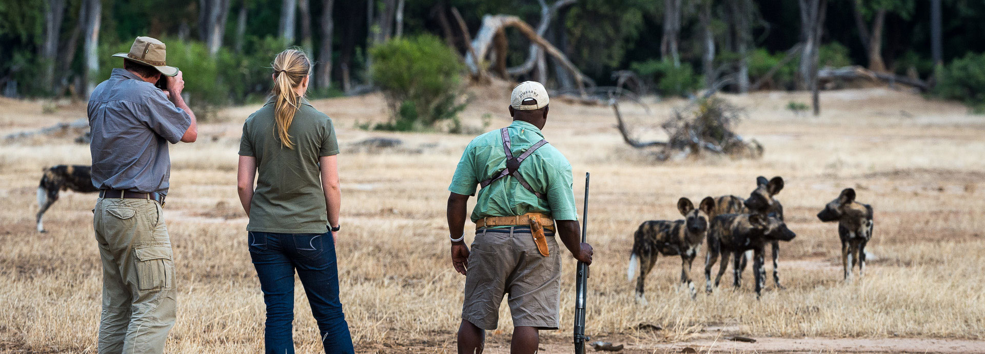 Spot packs of wild dog on game walks in Mana Pools National Park while at Ruckomechi Camp
