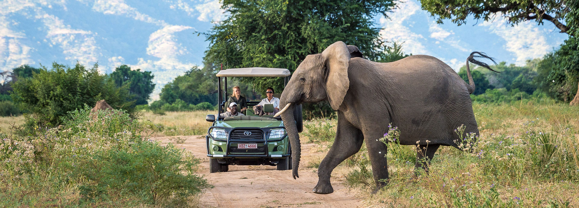 Guests watch elephant on a Game Drive in Mana Pools National Park, Zimbabwe