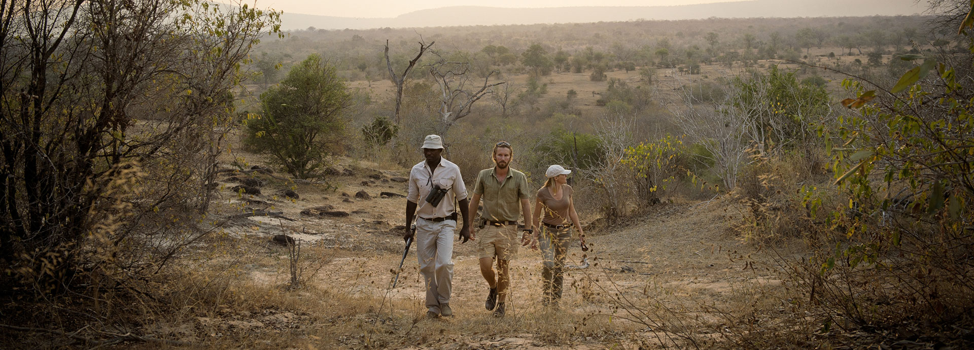 Walking excursions are a superb addition to Tanzania safaris. A Western couple and guide take a walking safari through Nyerere National Park.
