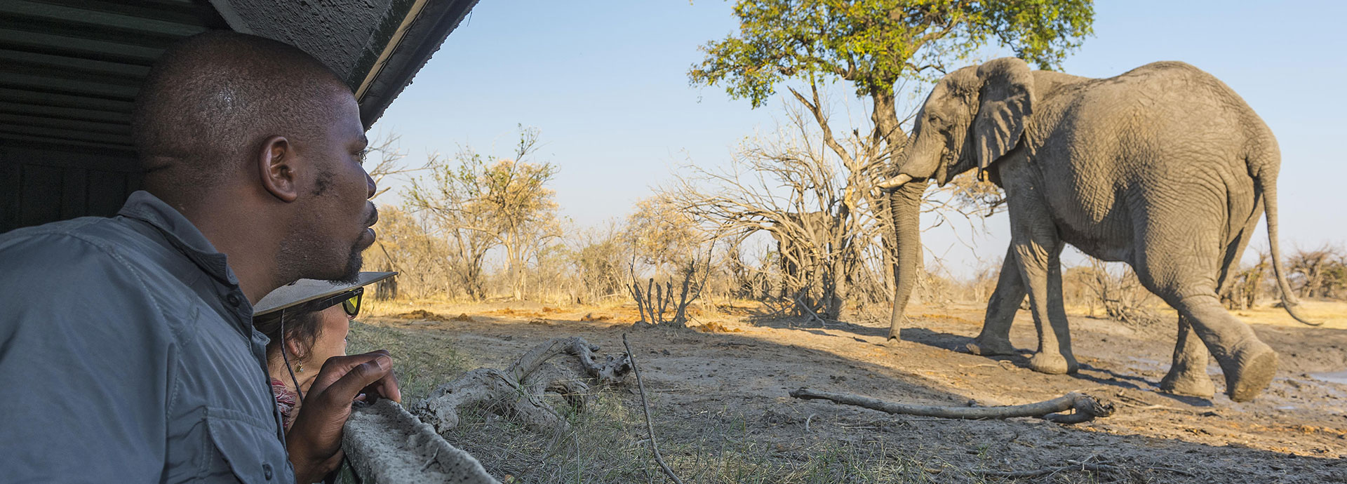 Guest and guide at Savuti Camp watching a herd of elephants from a hide