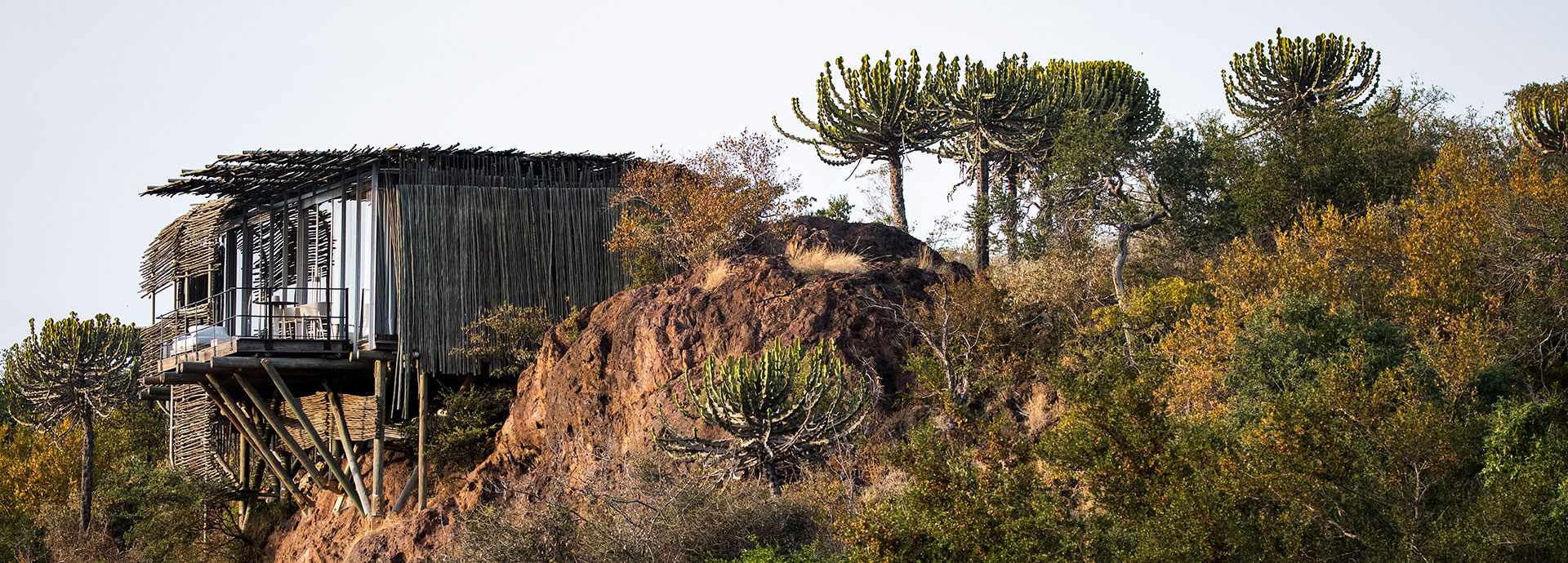 Luxury accommodation designed in the theme of an eagle's nest at Singita Lebombo