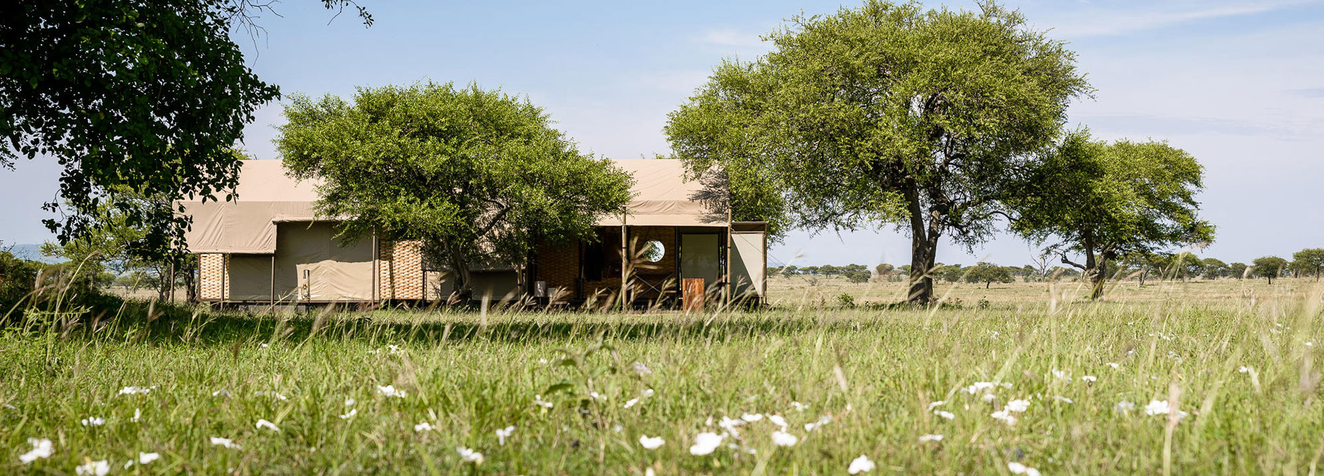 Luxury tents at Singita Sabora Tented Camp sit at eye-level with grazing herds of wildlife