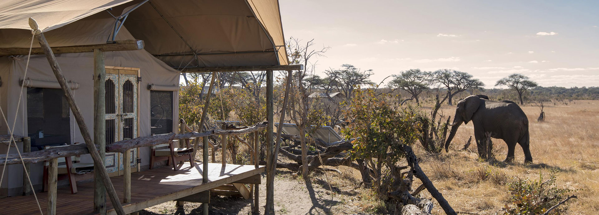 Elephants right outside the tent at Somalisa Expeditions