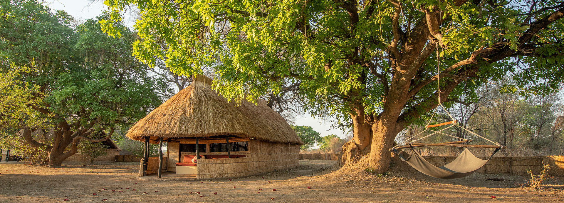 Relax in the swing on the lookout for passing game at Tafika Camp