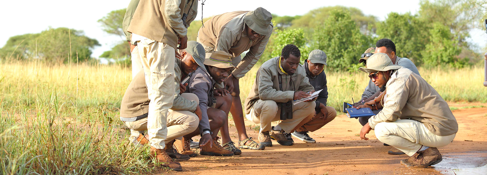 At Tarangire Ndovu Camp skilled guides will teach you how to track wildlife in the bush