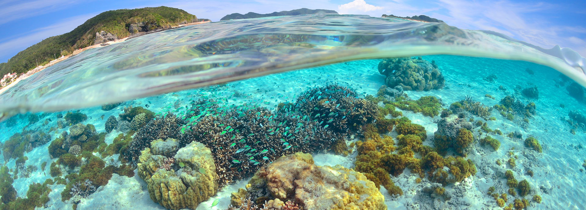 See magnificent coral reefs off the shore of many ocean front properties in the Maldives