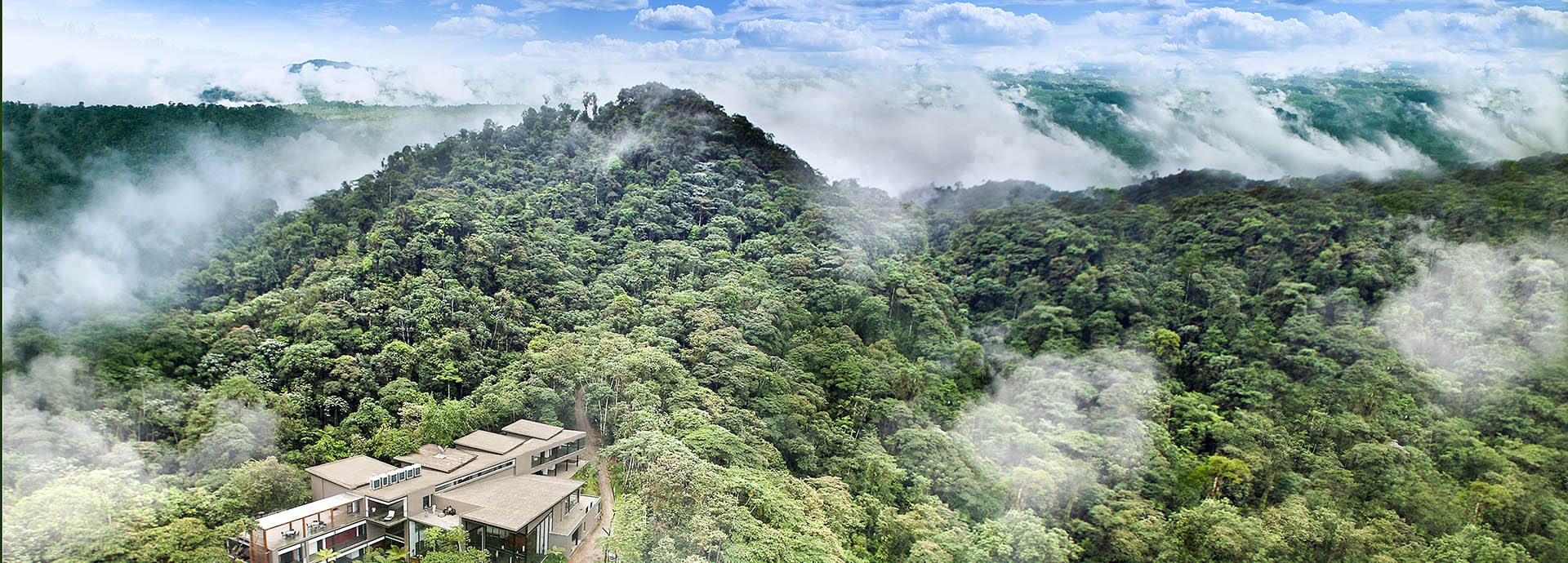 Equatorial jungles surrounding Mashpi Lodge in Ecuador
