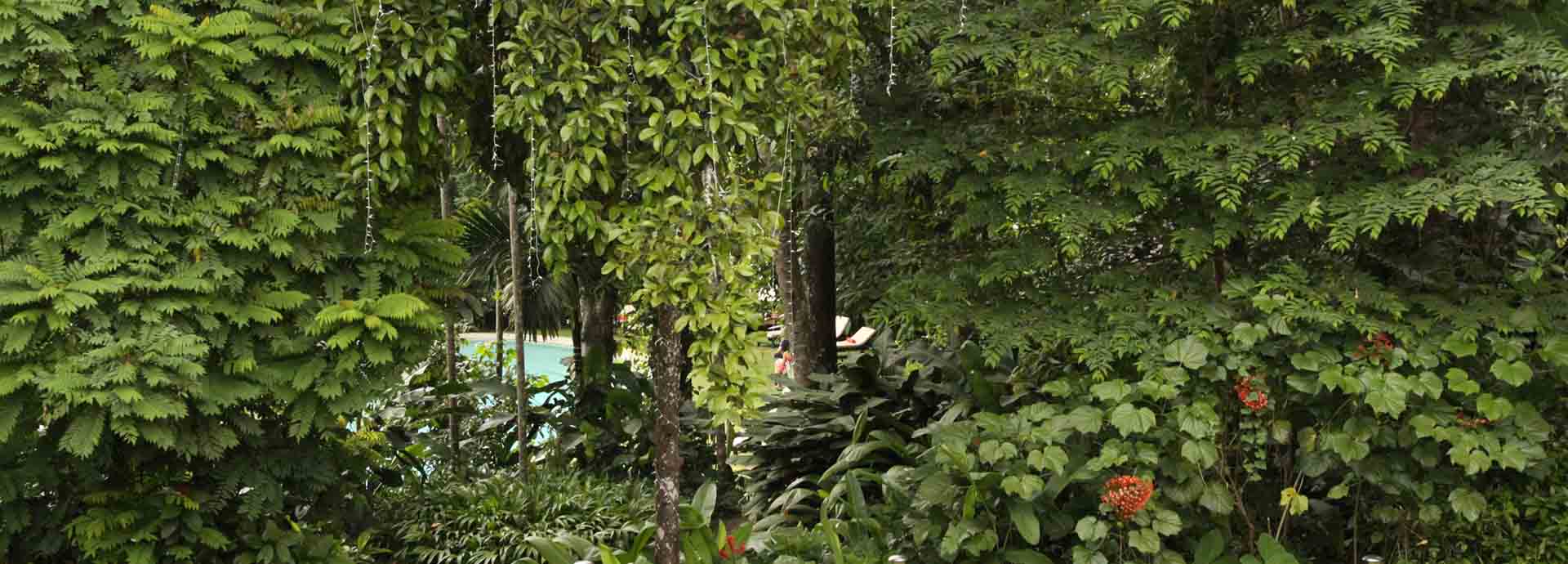 Ratwatte Walauwa, Sri Lanka