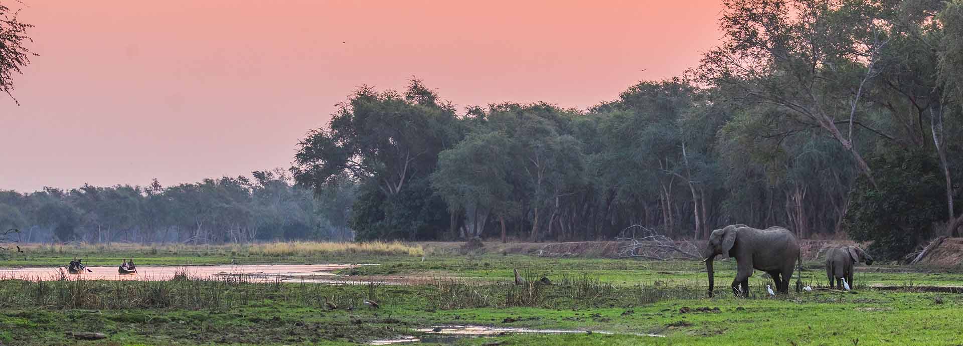 Elephant mum and calf make their way to the Lower Zambezi river bed