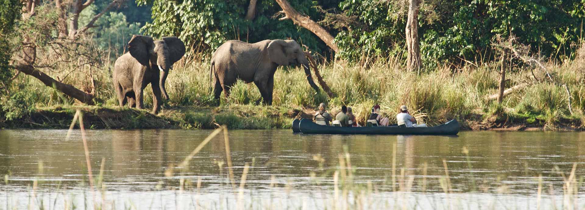 Viewing elephant on thew banks of the Zambezi while on a canoeing safari in Zambia - one of the best safari destinations