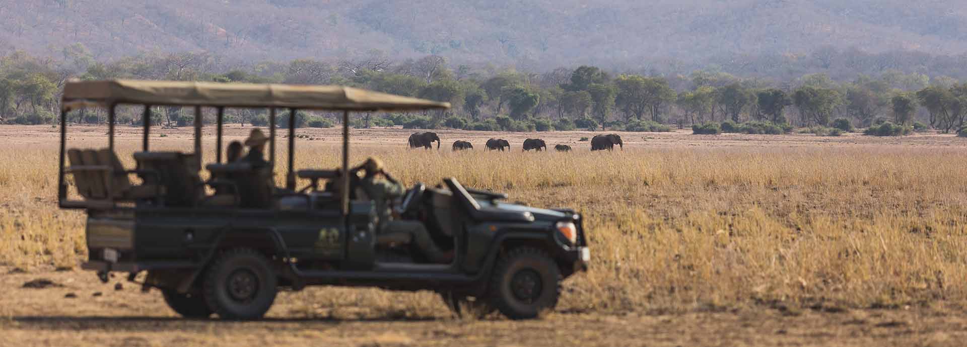 A safari vehicle and guests viewing elephant on the grassy plains of Africa